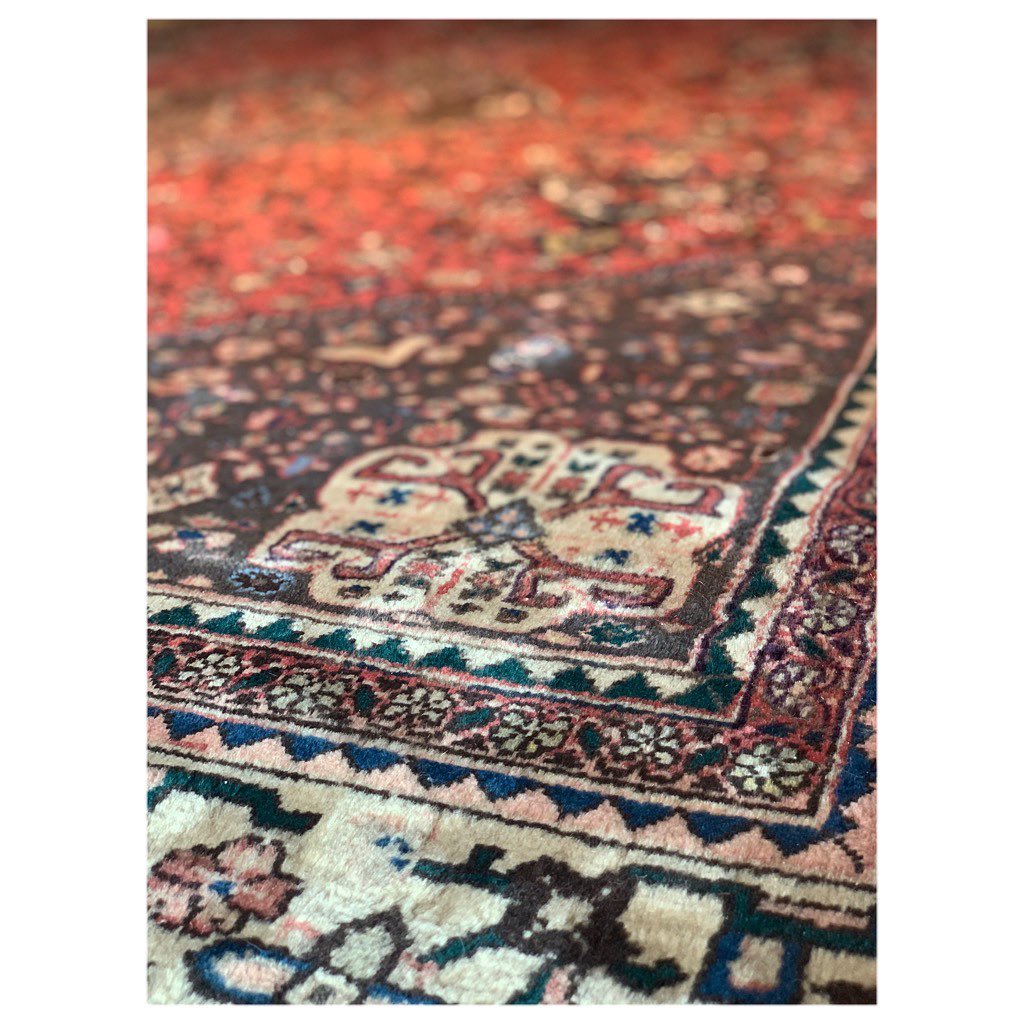 #sherazade #storefrontcollective #interior #traditional #carpet #moodboard